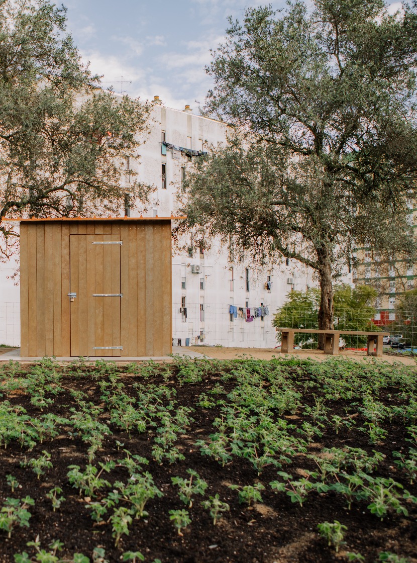 Hortas comunitárias com plantações, abrigos e banco em madeira 